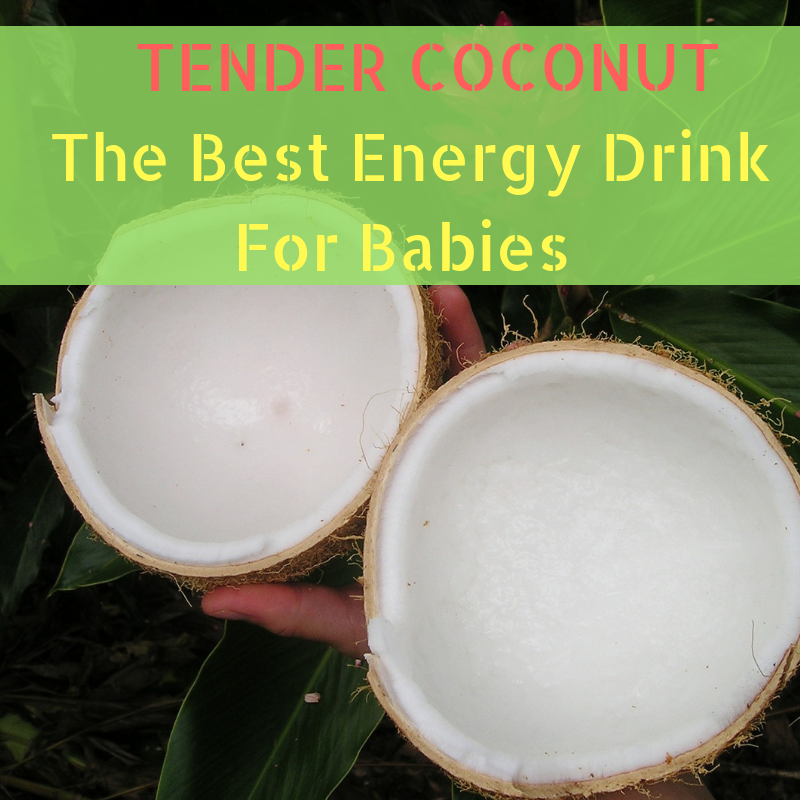 Tender Coconut Water -The Natural Energy Drink to your Baby